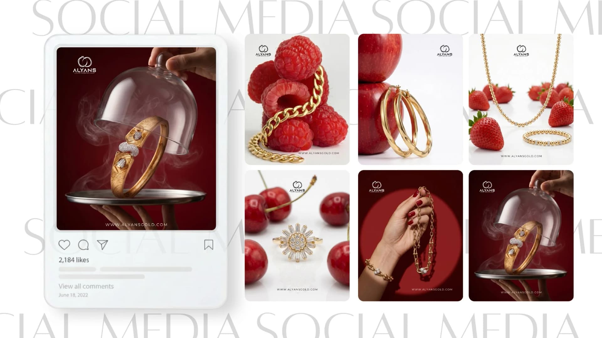 Alyans — social media work from the FMG Company Profile